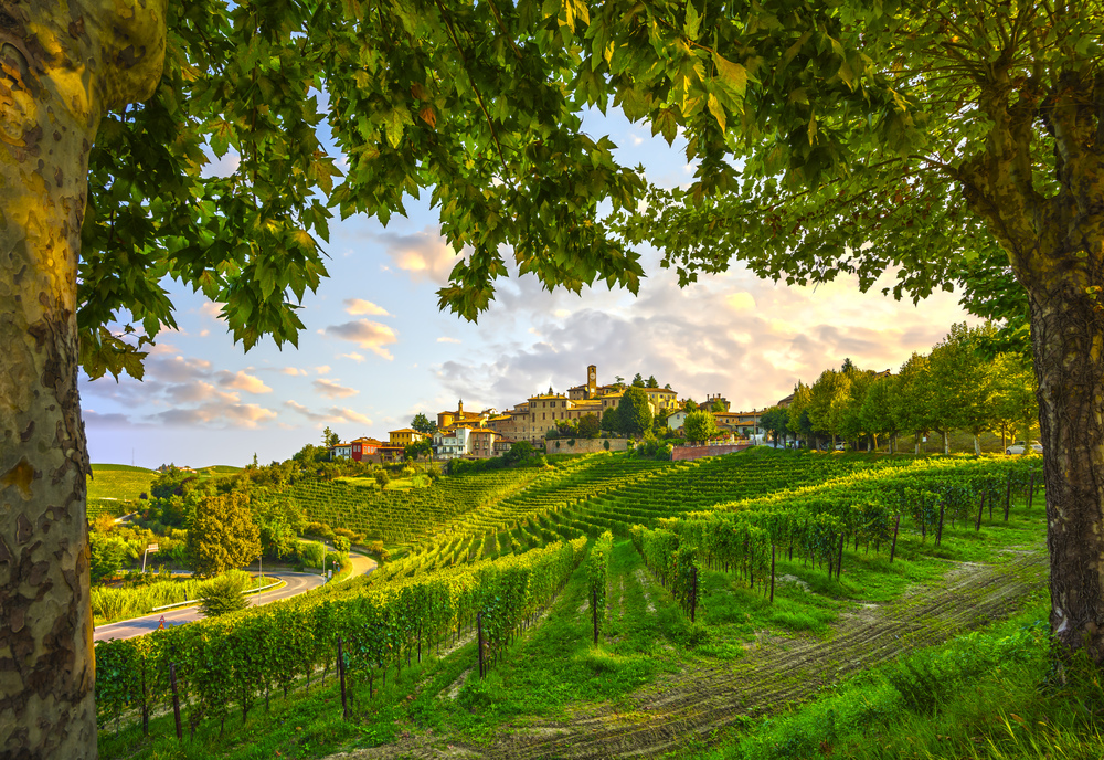 Barbaresco